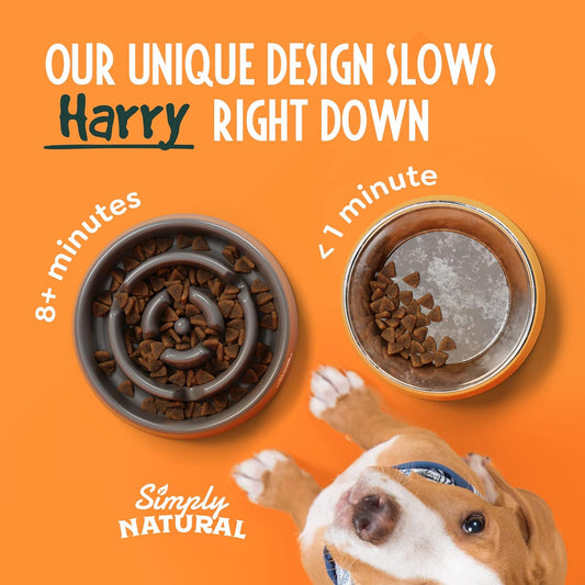 Slow Feeder Dog Bowl, 20.5 Cm Anti-Gulp Dog and Cat Bowl, Maze Design to Slow down Eating and Prevent Overeating, Puppy Slow Feeding Bowl