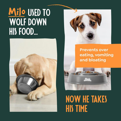 Slow Feeder Dog Bowl, 20.5 Cm Anti-Gulp Dog and Cat Bowl, Maze Design to Slow down Eating and Prevent Overeating, Puppy Slow Feeding Bowl